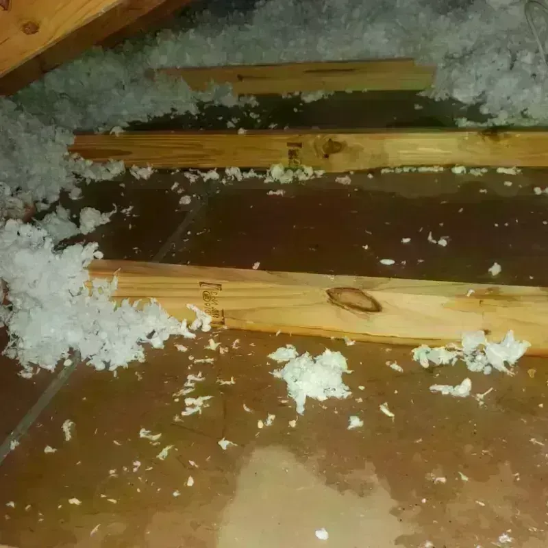 Attic Water Damage in Decatur County, IN